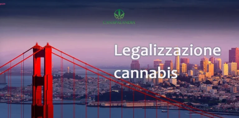 San Francisco to Grant Amnesty for Cannabis-Related Convictions