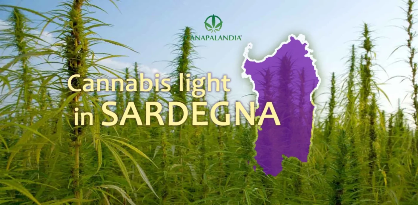 The Legal Cannabis Industry in Sardinia: The Cagliari Prosecutor Halts Production on the Island