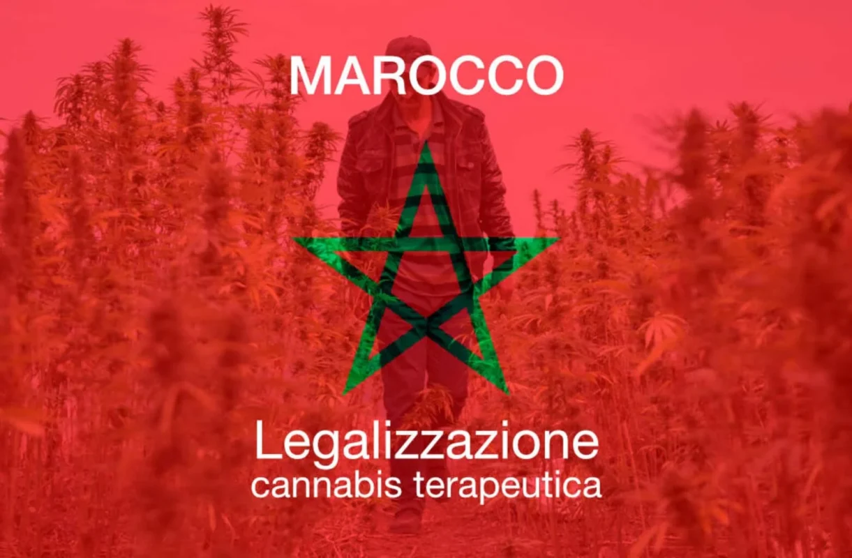 Morocco Moves Towards Legalizing Cannabis for Medical Use