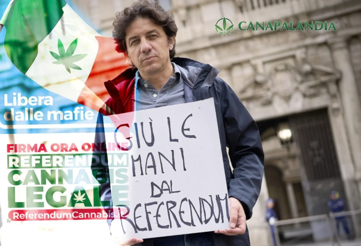 Cannabis: The Government Saves the Referendum with Decree, Extends Deadline by One Month