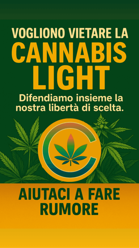 Vietare la Cannabis Light? Una Follia Annunciata