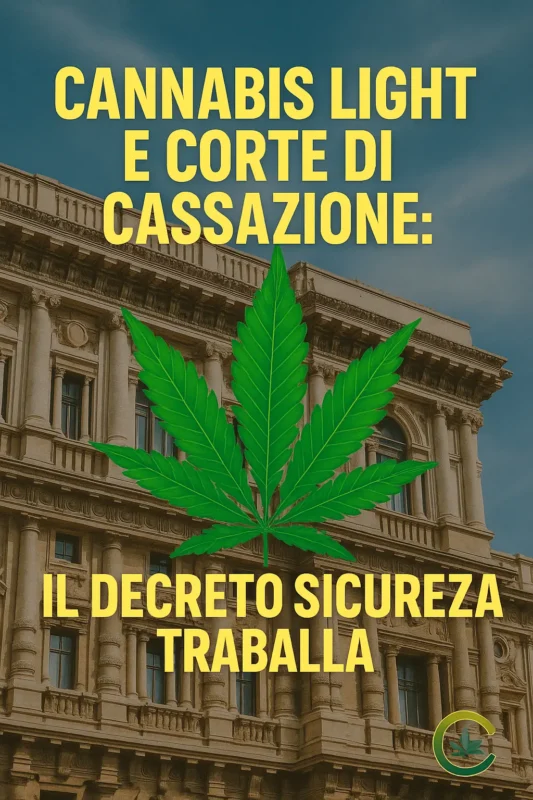 Cannabis Light e Corte di Cassazione: Il Decreto Sicurezza traballa