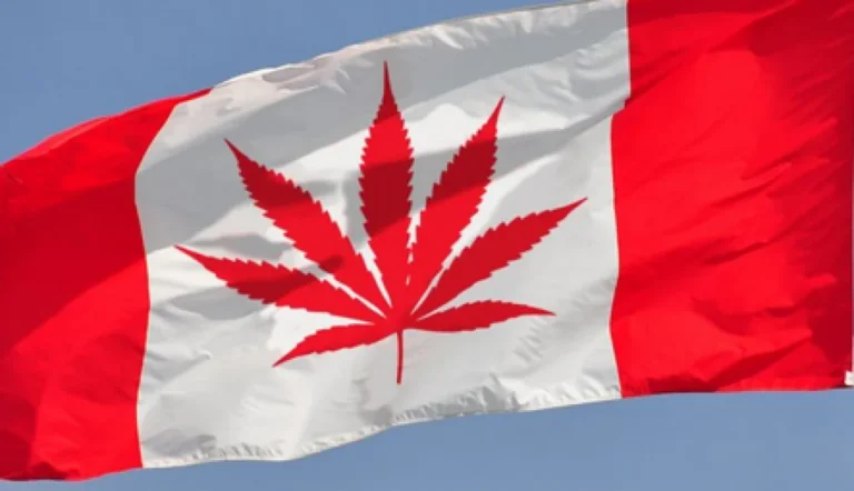Legalizzazione Cannabis: In Canada Legale per il 2018