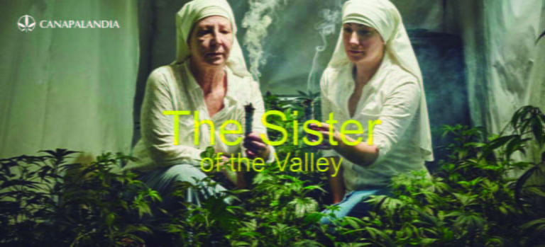 Medical Cannabis: In California, Nuns Grow It for Medicinal Purposes