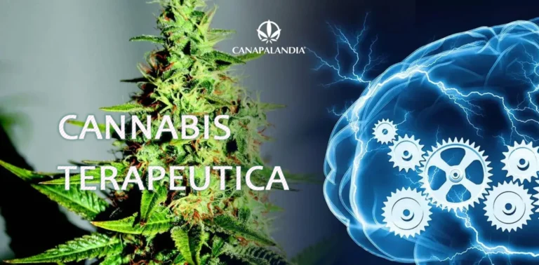 Gli agricoltori francesi protestano contro il disegno di legge sulla coltivazione della cannabis