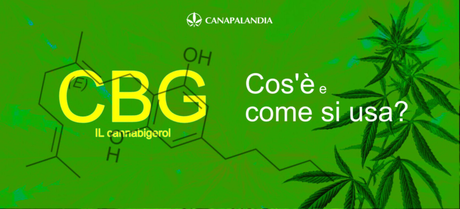 Cos’è il CBD: Tutto quello che devi sapere sul cannabidiolo