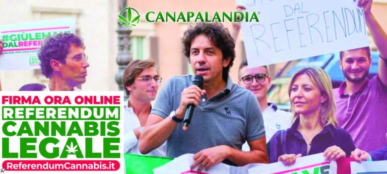 Referendum on Cannabis Legalization: The Court of Cassation Validates Over 600,000 Signatures