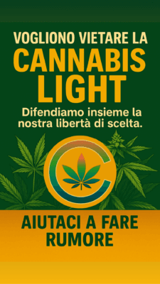 Cartello di divieto con foglia di cannabis, simbolo del blocco della cannabis light in Italia nel 2025