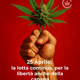 Pugno chiuso che stringe un fiore e foglie di cannabis su sfondo rosso, simbolo di resistenza e libertà per il 25 Aprile