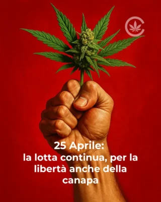 Pugno chiuso che stringe un fiore e foglie di cannabis su sfondo rosso, simbolo di resistenza e libertà per il 25 Aprile