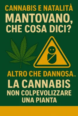Manifesto di protesta che mette in discussione il legame tra cannabis e calo delle nascite in Italia.