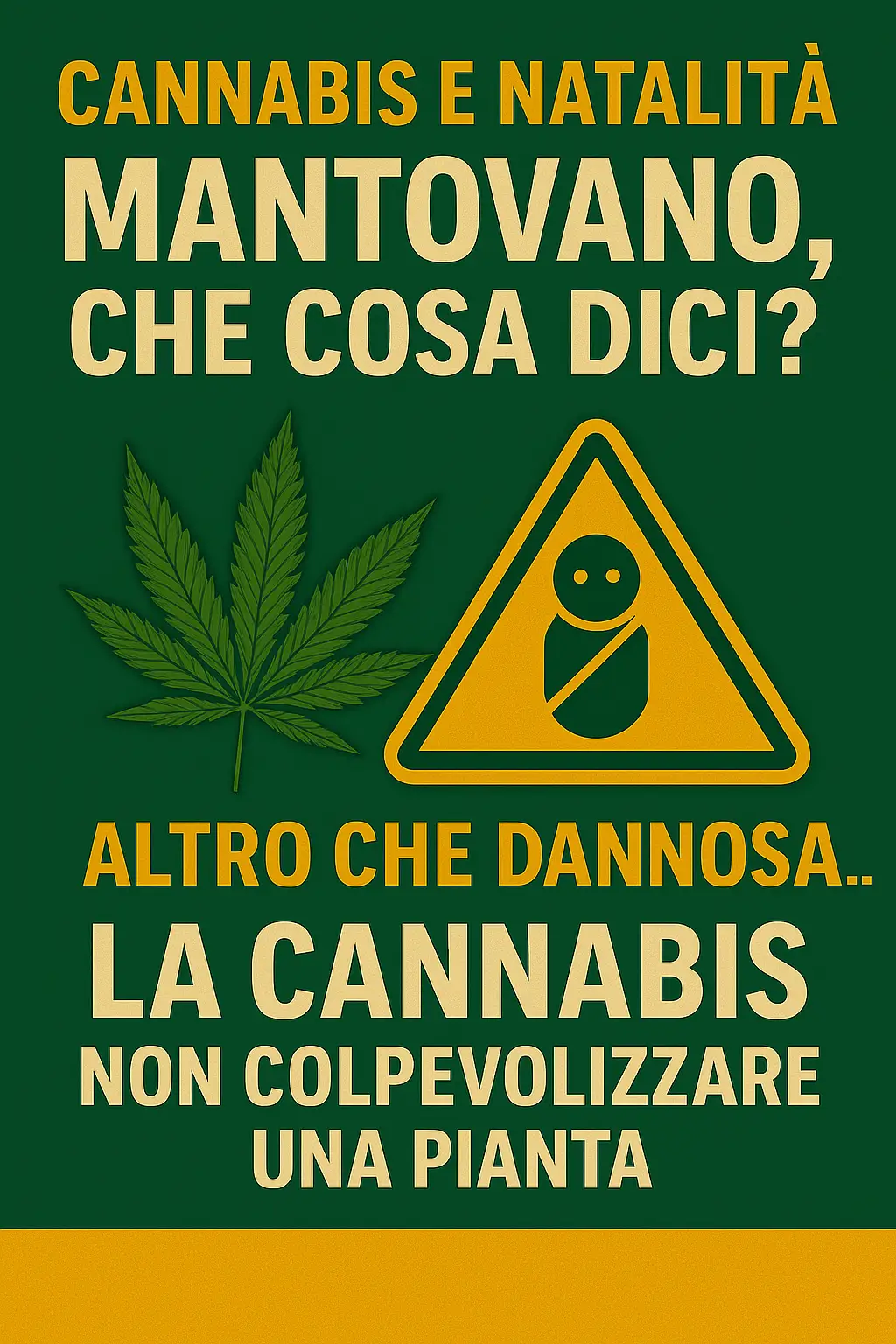 Cannabis e Calo delle Nascite in Italia: Analisi Critica delle Dichiarazioni Politiche e delle Evidenze Scientifiche