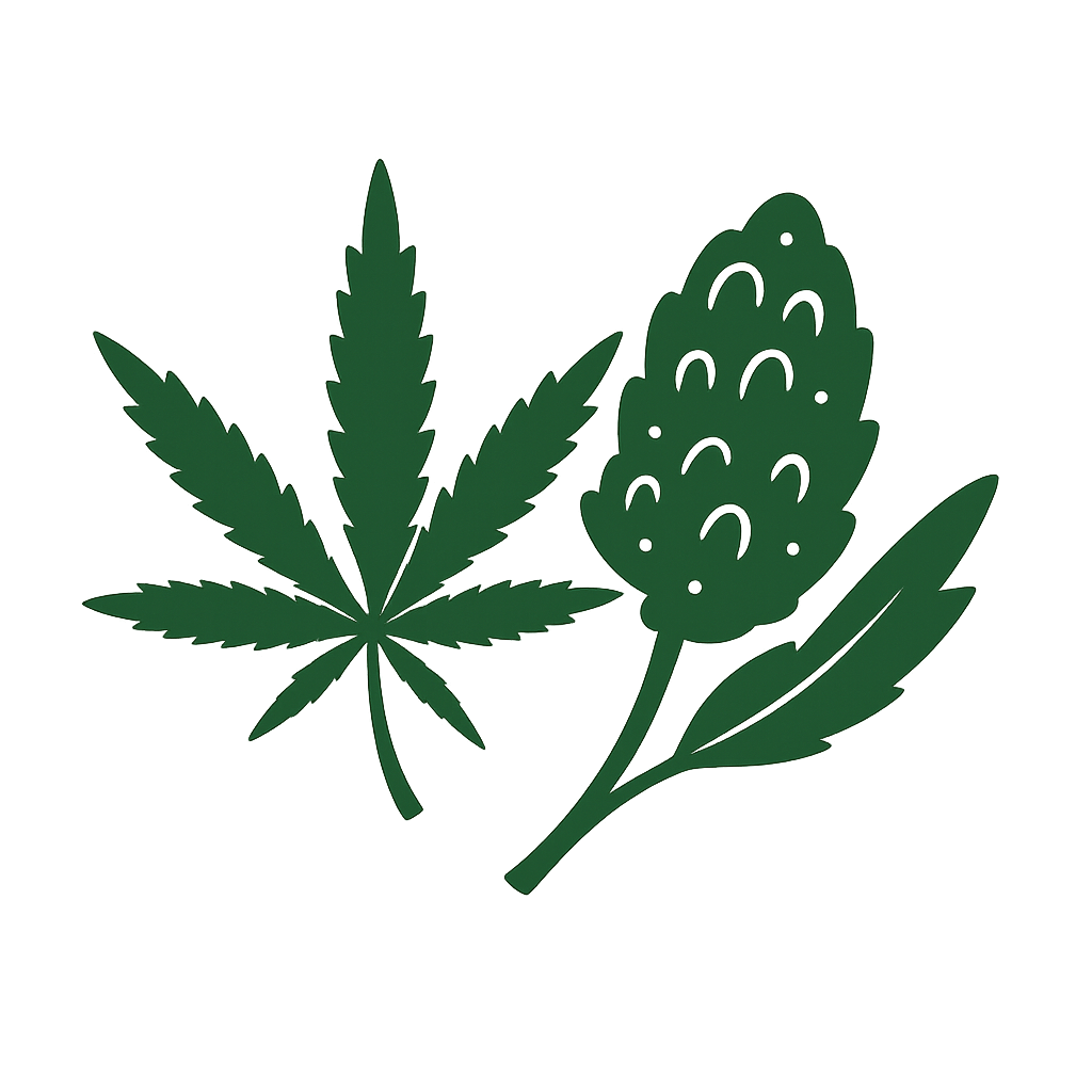 Icona stilizzata di due varietà di cannabis: una foglia stretta tipica della sativa e una cima compatta con foglia larga, tipica dell’indica.