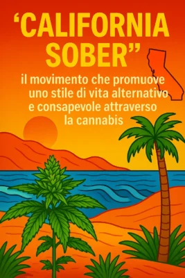'California Sober': il movimento che promuove uno stile di vita alternativo e consapevole attraverso la cannabis - california, sober, movimento
