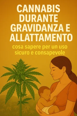 Donna che allatta un neonato accanto a una pianta di cannabis, con titolo informativo su sfondo giallo – cannabis durante gravidanza