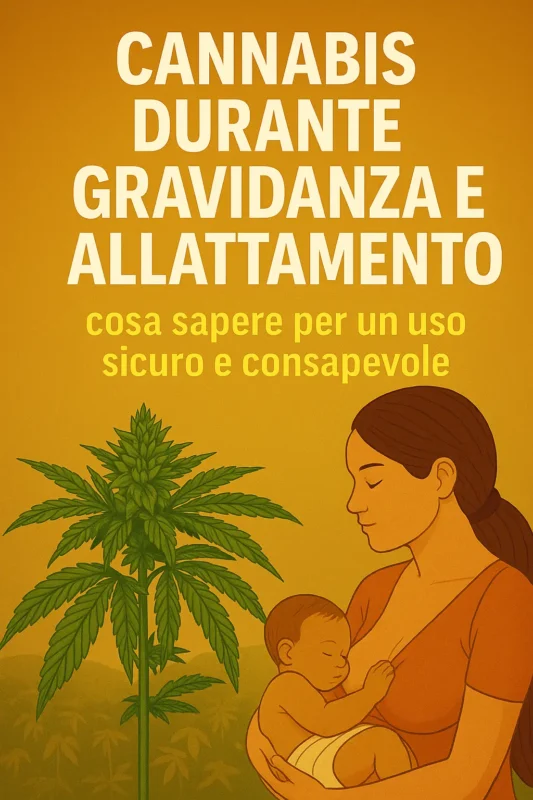 Donna che allatta un neonato accanto a una pianta di cannabis, con titolo informativo su sfondo giallo – cannabis durante gravidanza