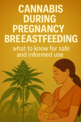 A mother breastfeeding her baby next to a cannabis plant with educational text about safe cannabis use during pregnancy