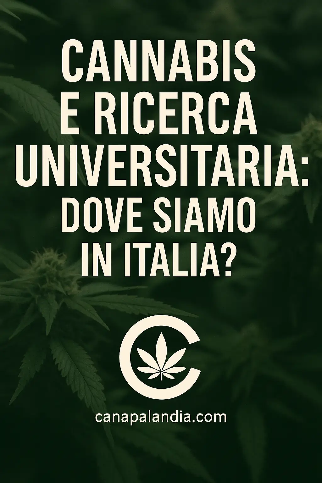 Cannabis e ricerca universitaria: dove siamo in Italia?