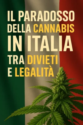 Il paradosso della cannabis in Italia: tra divieti e legalità - opinioni e critica sul panorama normativo