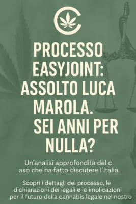 Processo EasyJoint: assolto Luca Marola. Sei anni per nulla? - processo, easyjoint:, assolto