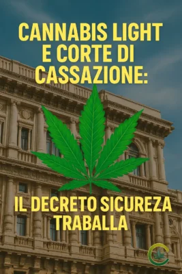 Cannabis Light e Corte di Cassazione: Il Decreto Sicurezza traballa - cannabis, light, corte