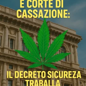 Cannabis Light e Corte di Cassazione: Il Decreto Sicurezza traballa - cannabis, light, corte