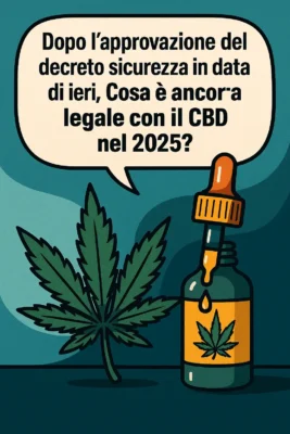 Storia Instagram Canapalandia: CBD legale dopo decreto sicurezza 2025